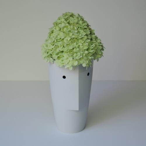 met hortensia